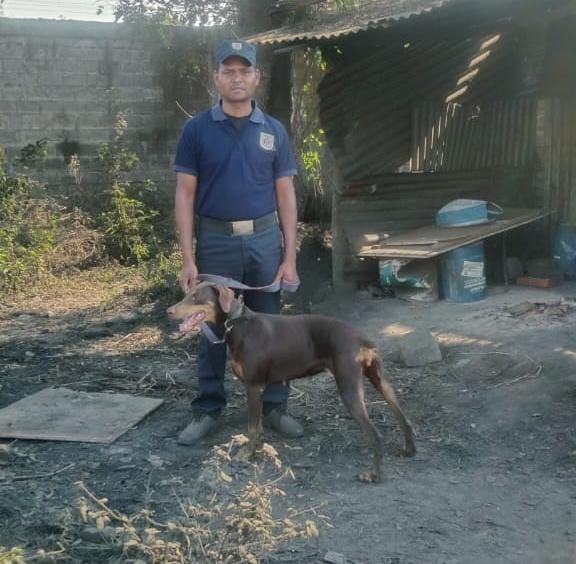 Modern Training Facility